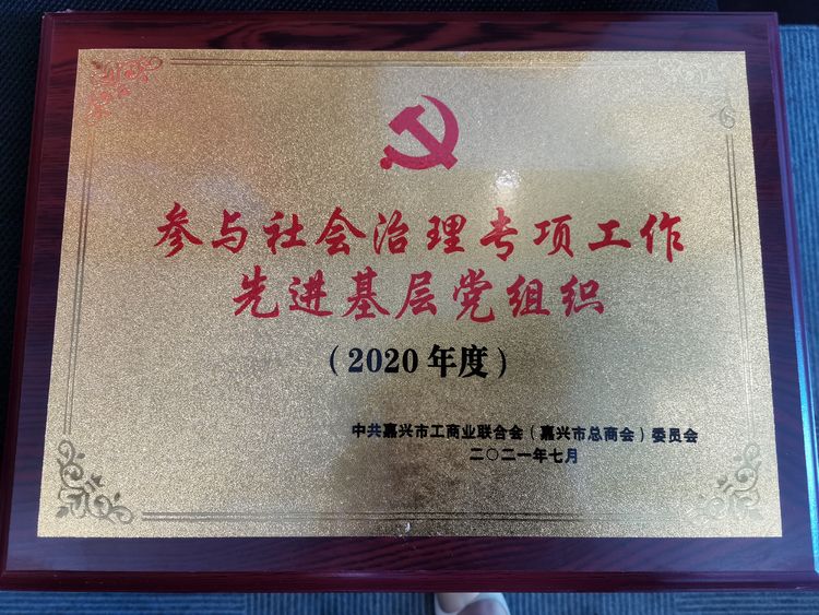 【喜报】嘉兴市重庆商会党支部获 “参与社会治理专项工作先进基层党组织”